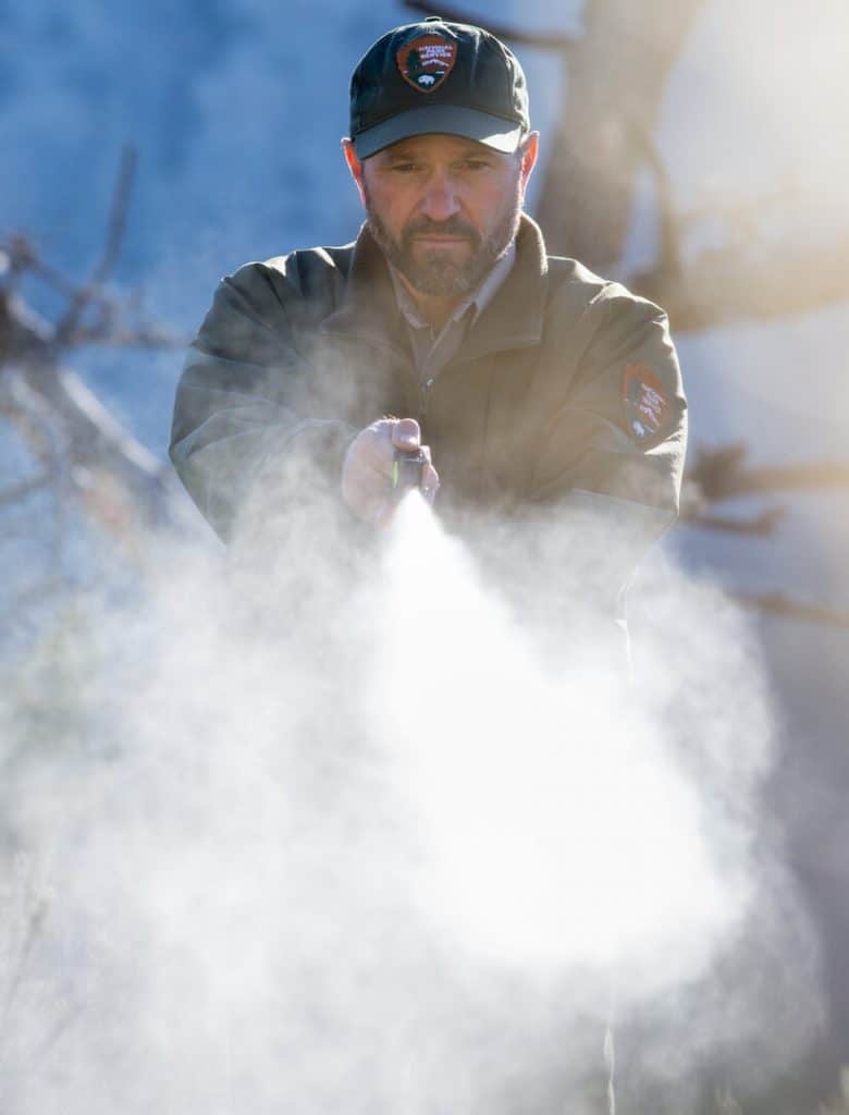 Ranger using bear spray