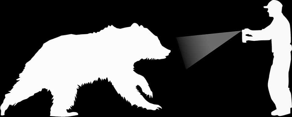 bear spray outline national park service